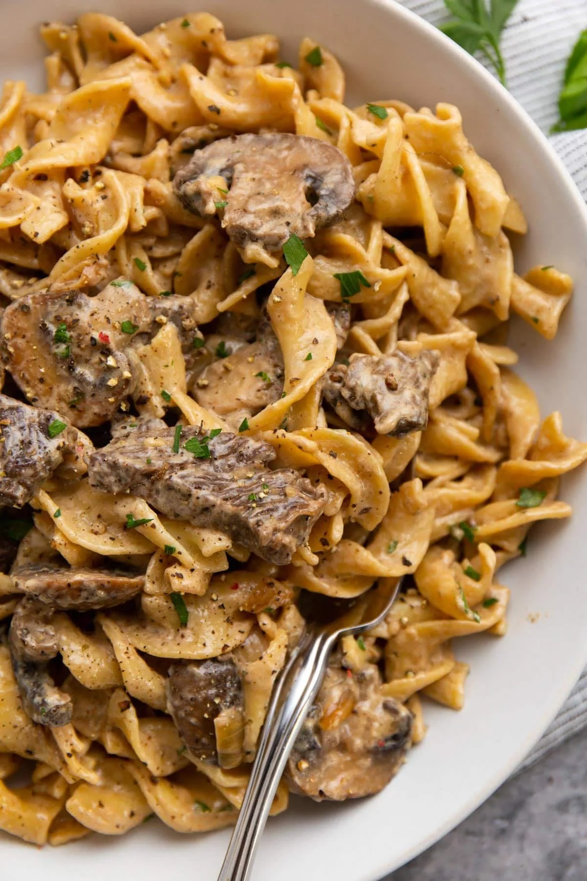 Beef Stroganoff