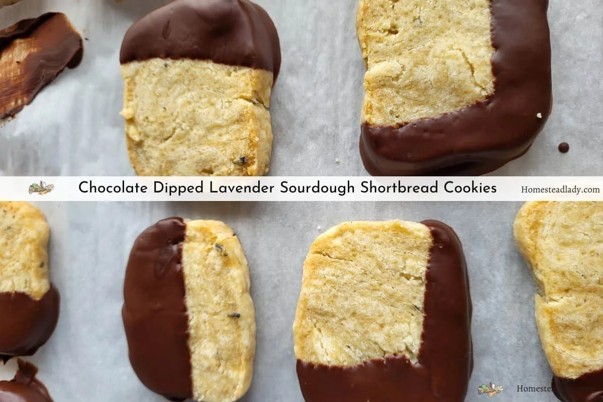 Chocolate Dipped Lavender Sourdough Shortbread