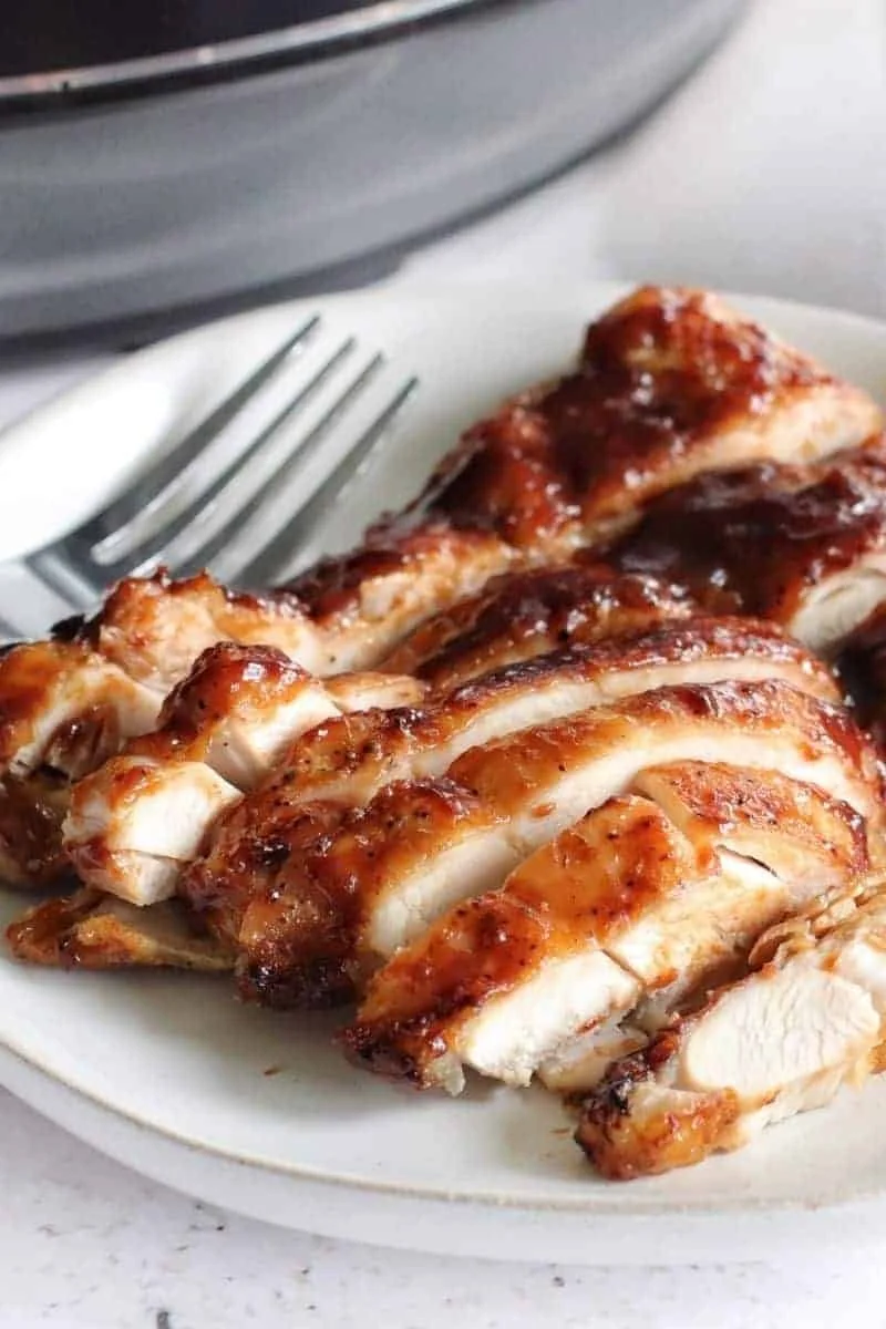 Easy Ninja Air Fryer Recipes