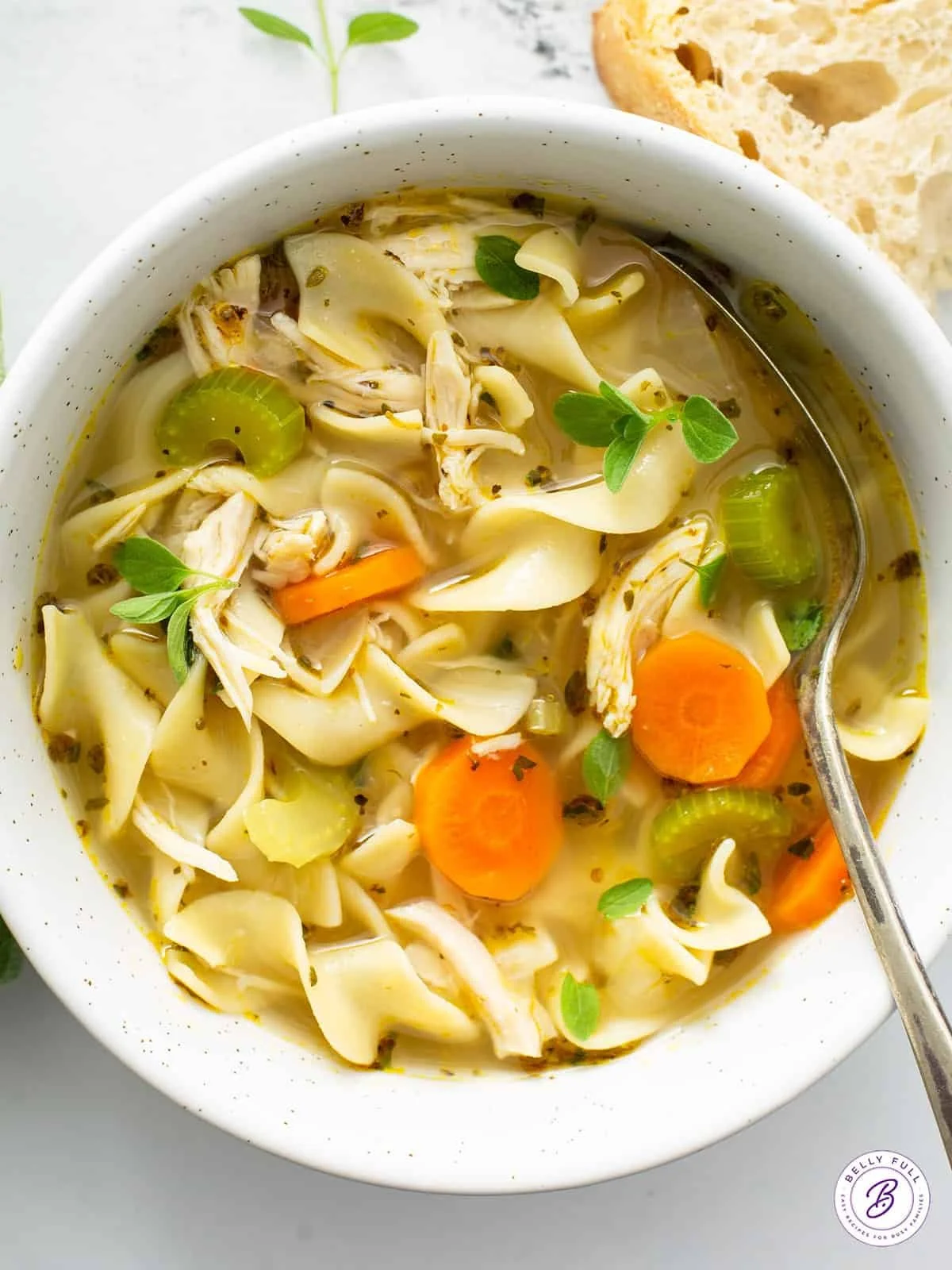 Homestyle Chicken Noodle Soup