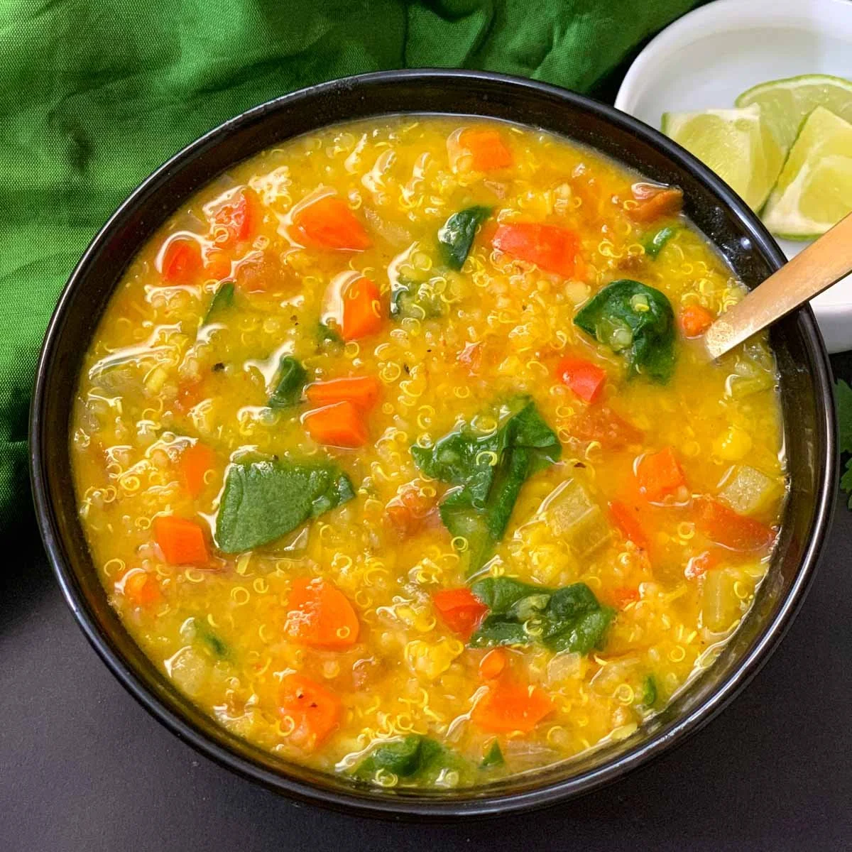 Instant Pot Vegetable Quinoa Lentil Soup