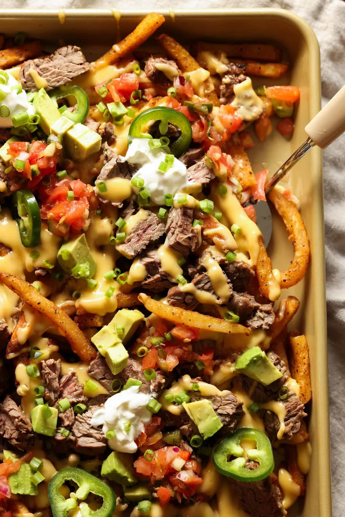 Loaded Carne Asada Fries