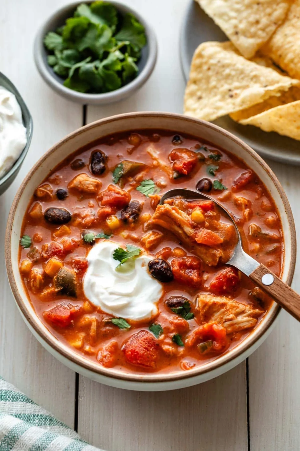 My Favorite Slow Cooker Chicken Chili
